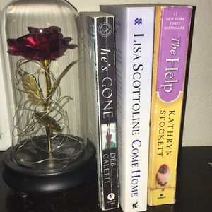 Book Bundle (4 books!)